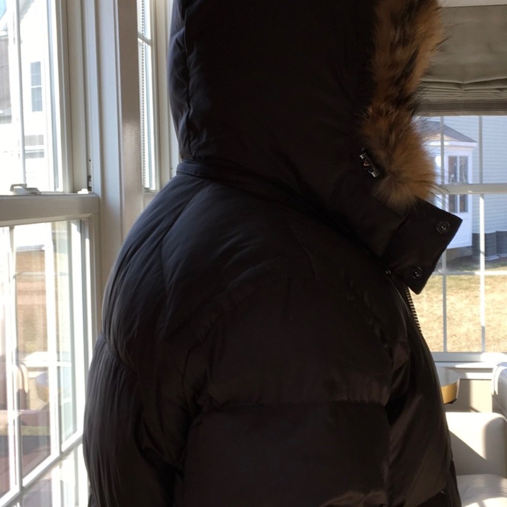 Jacket - Picture 4 of 5